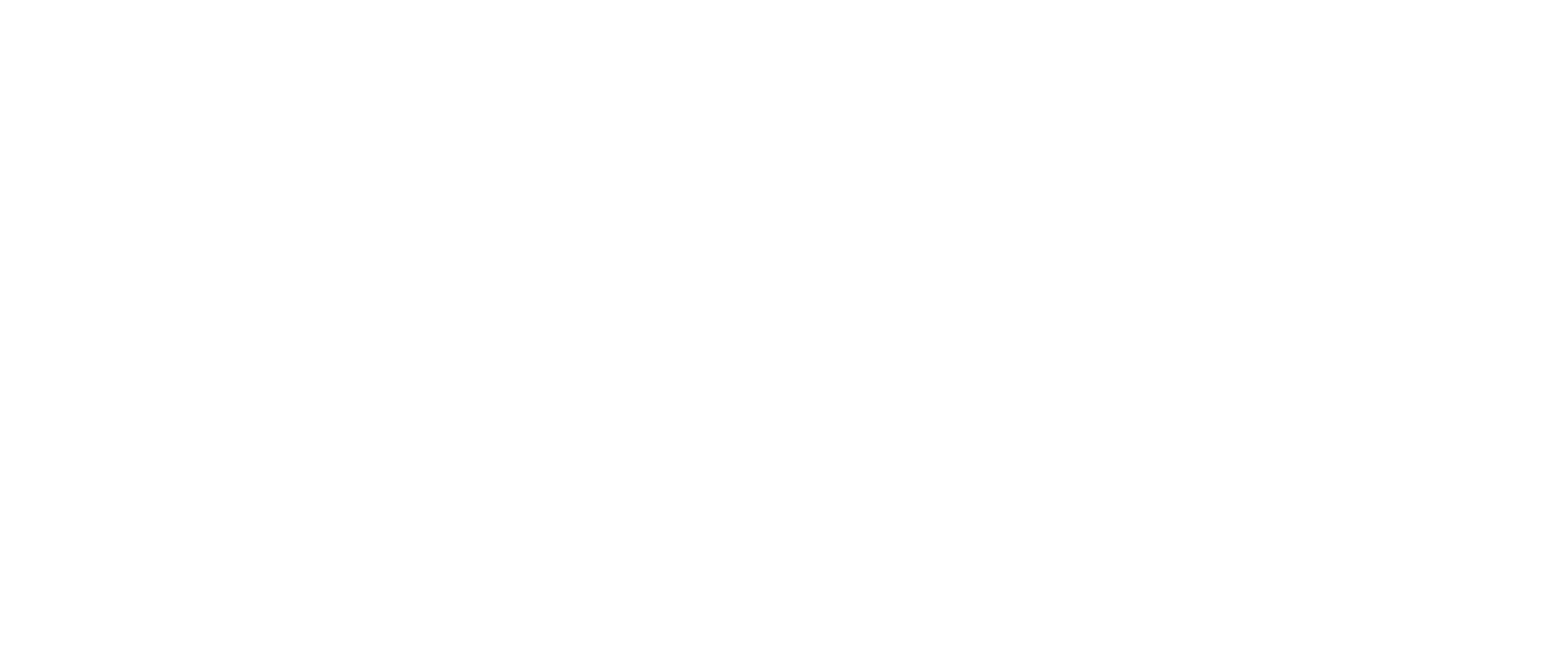 RSR logo wit